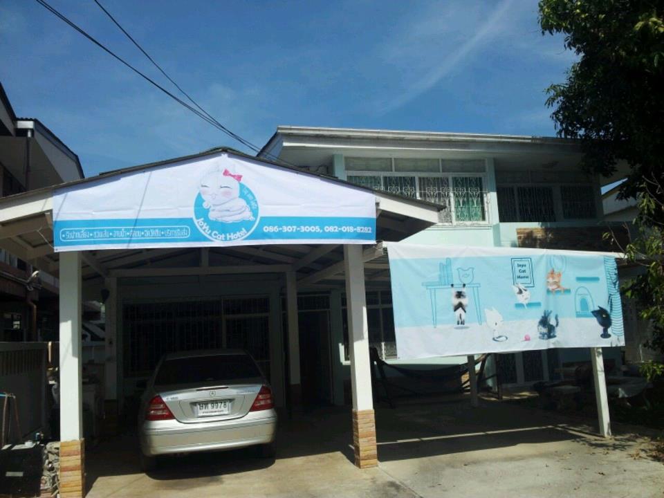 โรงแรมแมว JoYu Cat Hotel รับฝากเลี้ยงแมวโดยเฉพาะ รูปที่ 4