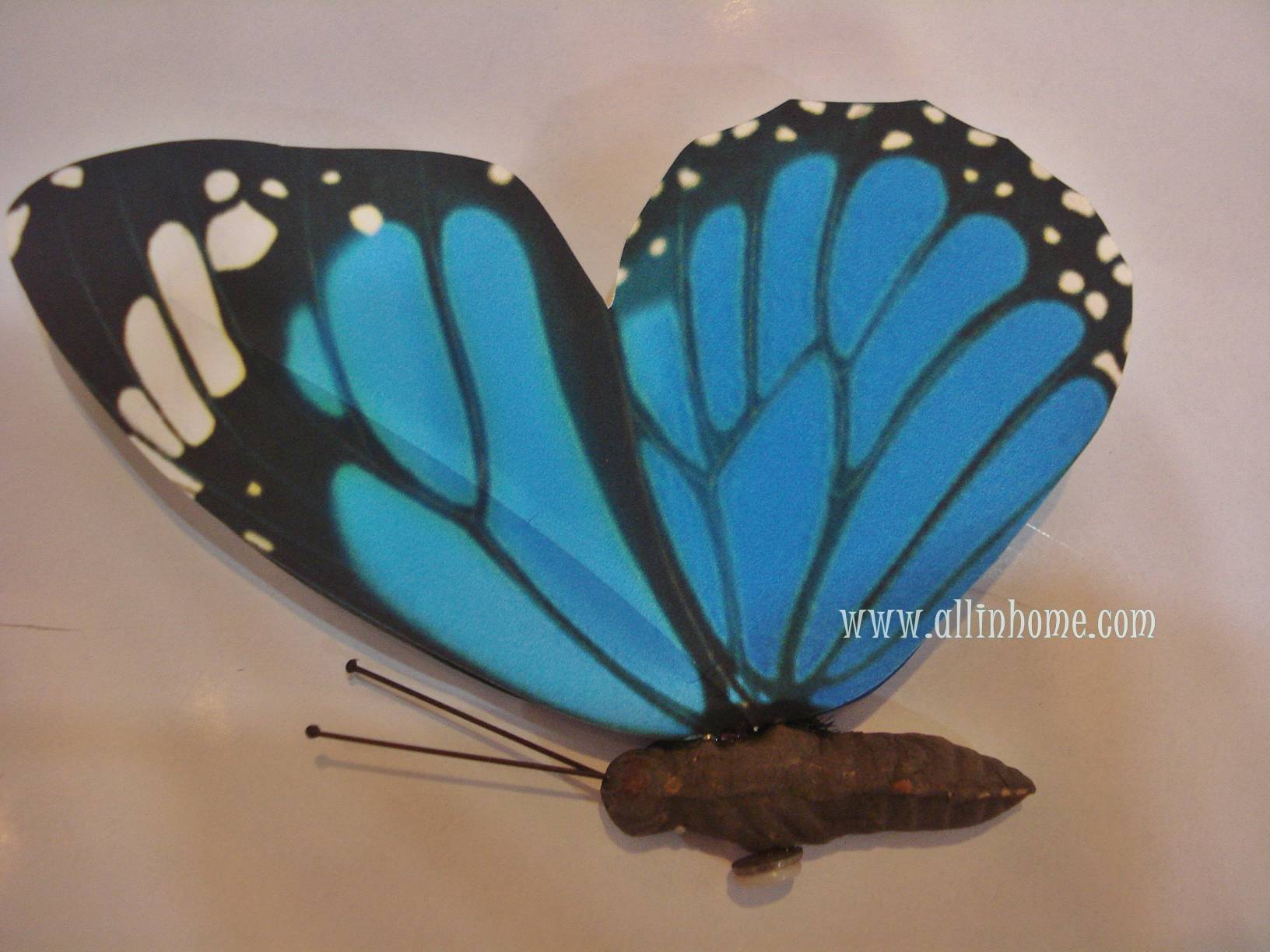 แม่เหล็กผีเสื้อ Butterfly Magnet สำหรับตกแต่ง งานสวยเหมือนจริง รูปที่ 1