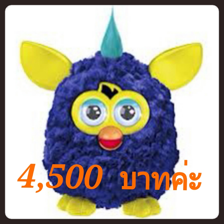 ขายเฟอบี้เหลืออีกแค่ 5 ตัวเท่านั้นค่าาาา 4500-4800 ค่าา รูปที่ 5