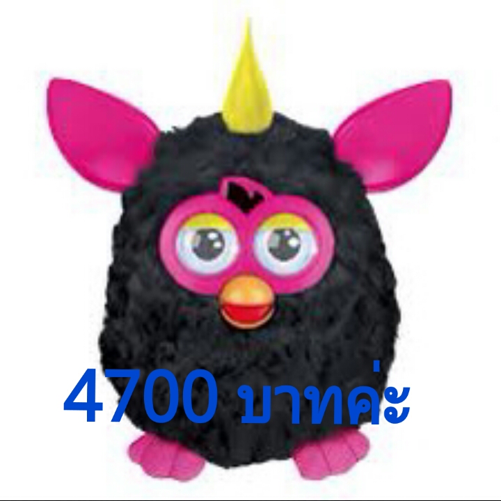 ขายเฟอบี้เหลืออีกแค่ 5 ตัวเท่านั้นค่าาาา 4500-4800 ค่าา รูปที่ 3
