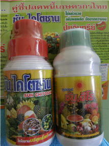 ซันฮีโร่  ซันไคโตซาน ปุ๋ยอินทรีย์น้ำนาโน นวัฒกรรมจากญี่ปุ่น เร่งต้น เร่งดอก เร่งใบ ระเบิดหัว ระเบิดรวง ป้องกันเพลี้ย รูปที่ 5