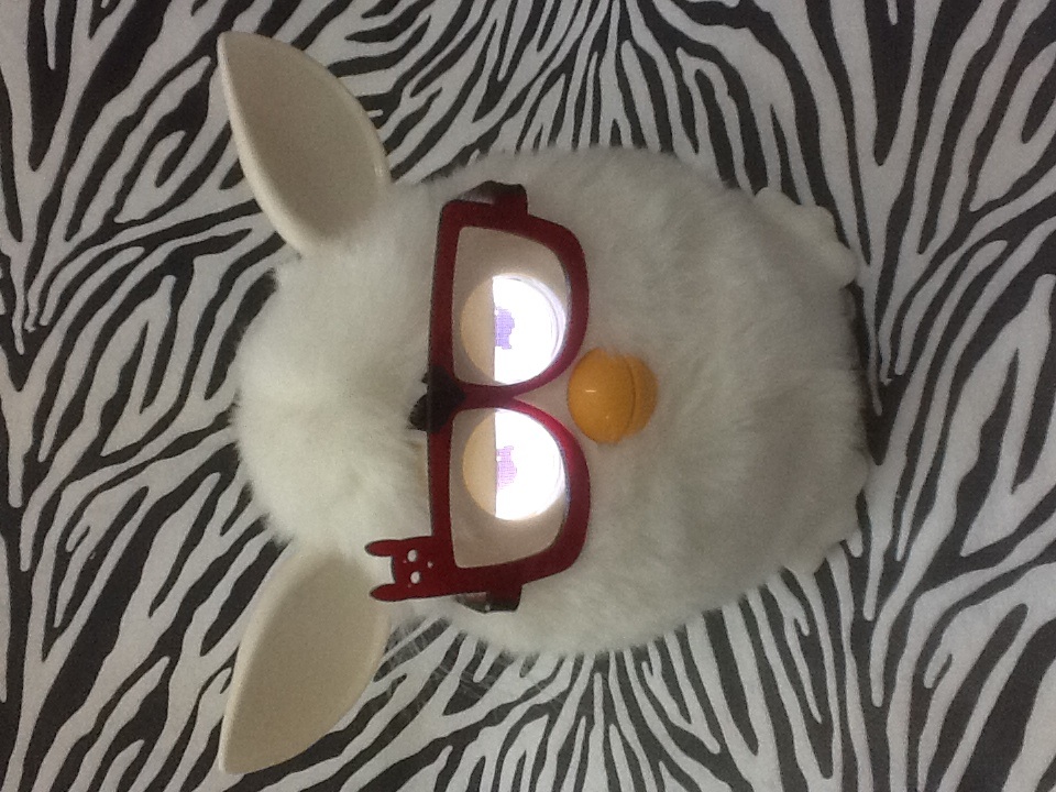 Furby และแว่นตาเก๋ๆ รูปที่ 1