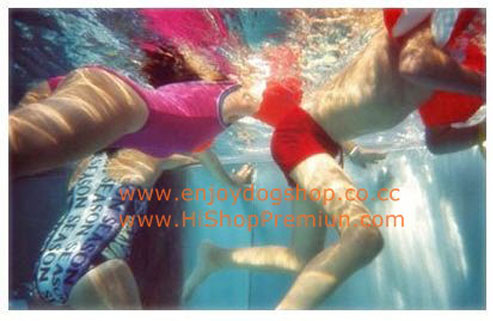 กล้องฟิล์มLoMo,[35 mm LoMo Underwater Camera],ถ่ายใต้น้ำลึก3 เมตร กล้องกันน้ำได้ ใช้ง่าย รูปที่ 5