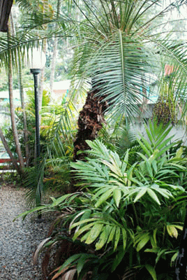 House for sale @ Chiang Mai, very close to Chiang Mai railway station  รูปที่ 7