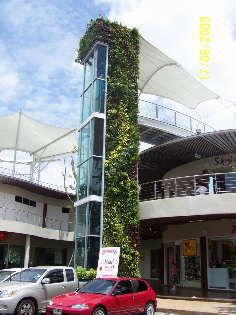 สวนแนวตั้ง  vertical Garden รูปที่ 7