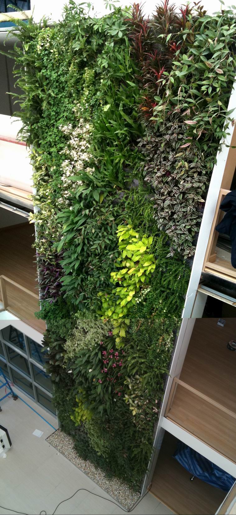 สวนแนวตั้ง  vertical Garden รูปที่ 4