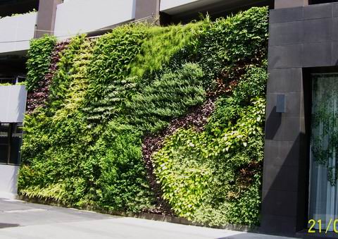 สวนแนวตั้ง  vertical Garden รูปที่ 2