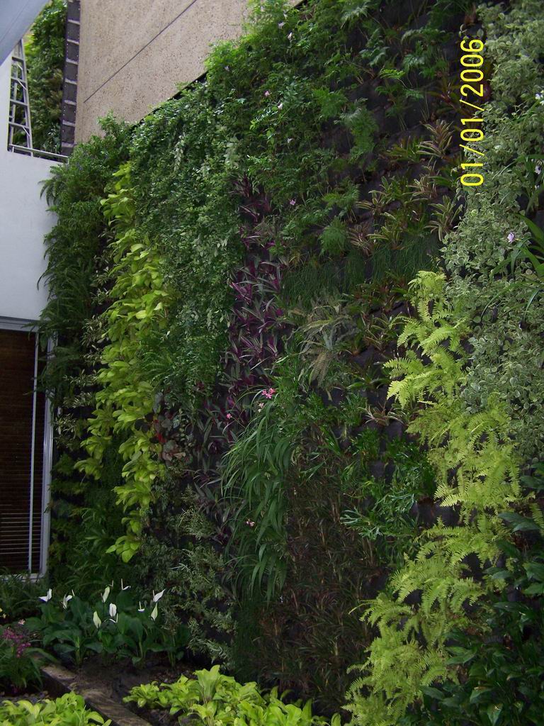 สวนแนวตั้ง  vertical Garden รูปที่ 6