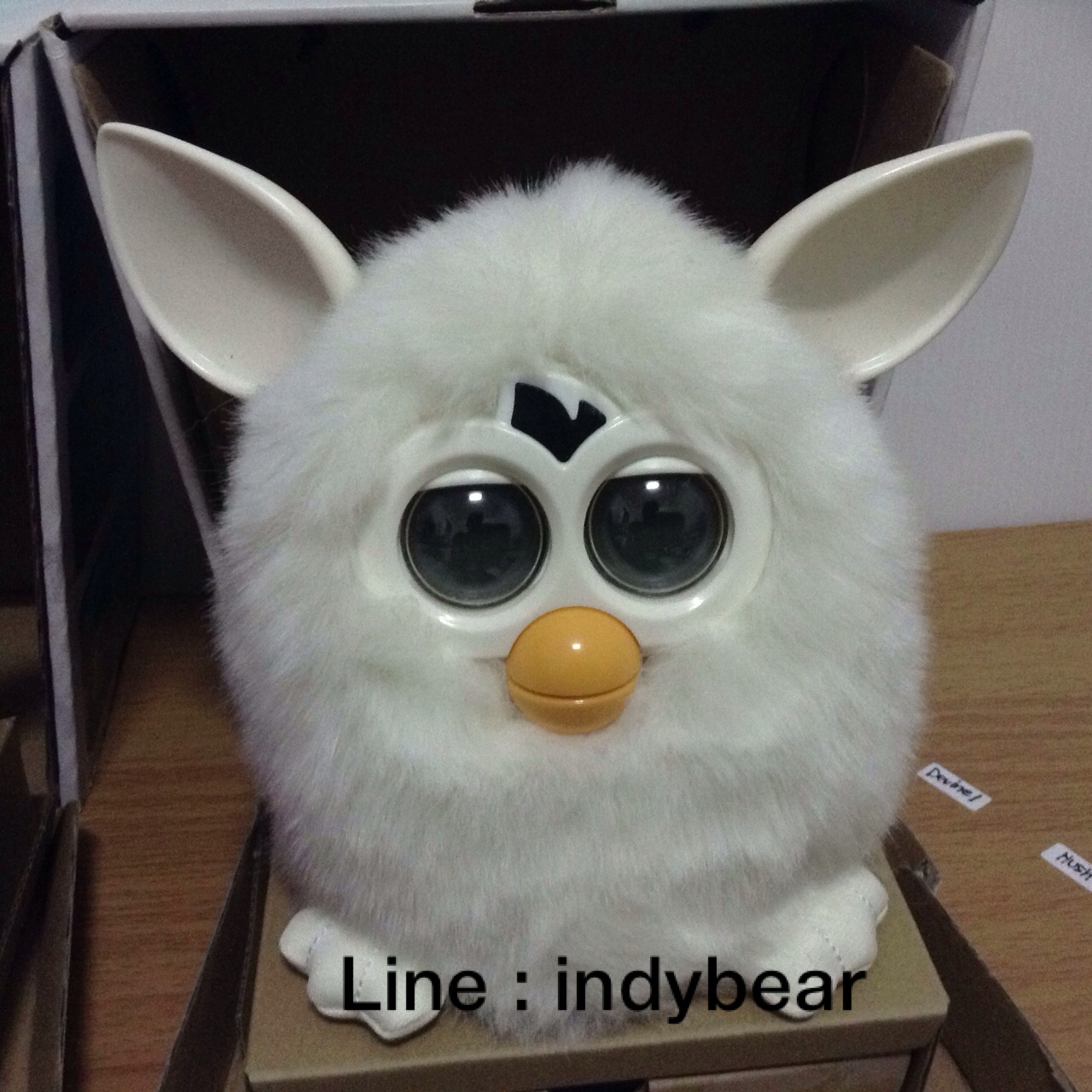 ขาย furby ขาวล้วน ชมพูหูเขียว cotton candy สองสีฮิตๆ 4,700 ฟรีค่าจัดส่ง EMS ทั่วประเทศ รูปที่ 3