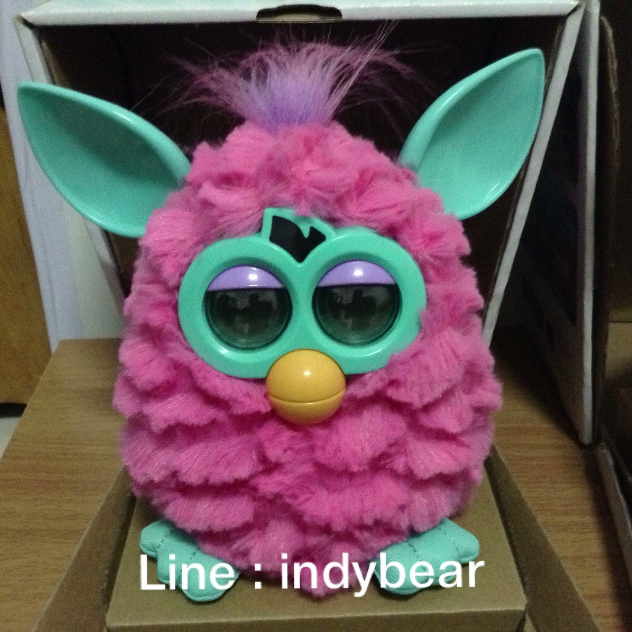 ขาย furby ขาวล้วน ชมพูหูเขียว cotton candy สองสีฮิตๆ 4,700 ฟรีค่าจัดส่ง EMS ทั่วประเทศ รูปที่ 2
