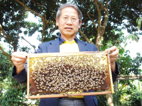 ขายฟาร์มผึ้งพร้อมอุปกรณ์ครบชุด รูปที่ 1
