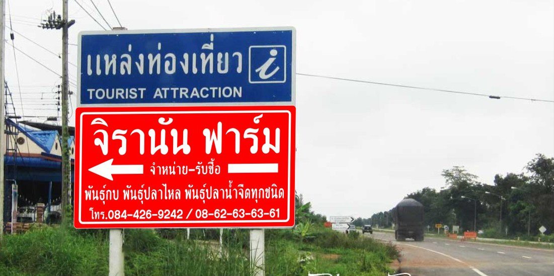 พันธุ์กบ พันธุ์ปลาน้ำจืดทุกชนิด ปลาไหล ปลาบู่ ขายส่ง ทั่วประเทศ ราคาถูก รับซื้อคืนราคาสูง รูปที่ 7