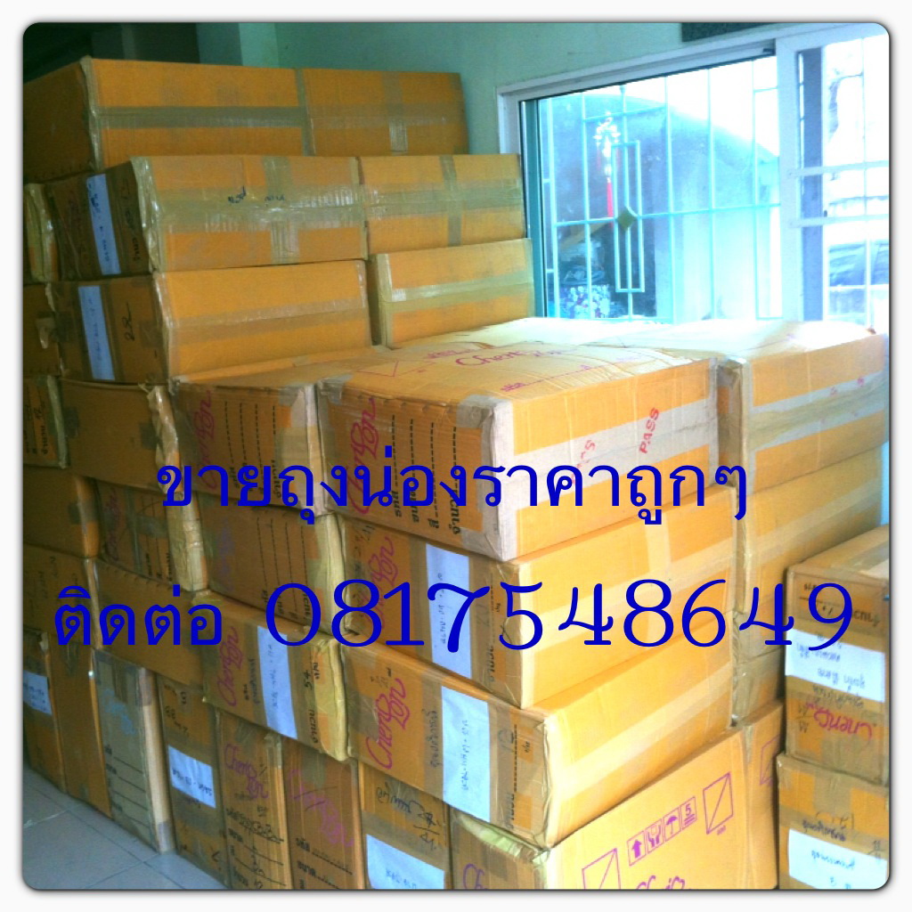 กางเกงในยกสะโพก ราคา 99 บาท ติดต่อ 0817548649 รูปที่ 5
