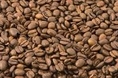 ขายเมล็ดกาแฟคั่วสด ปลีก ส่ง ราคาถูก 200 บาท ต่อ กิโลกรัม กาแฟอาราบีก้า โรบัสต้า