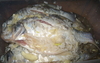 รูปย่อ ปลาส้มปลาตะเพียน ของฝากจากยโสธร รูปที่2