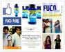 รูปย่อ อาหารเสริมสุขภาพ FUCO PURE  รูปที่5