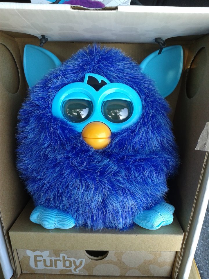 จำหน่ายตุ๊กตาเฟอร์บี้ USA ราคาถูก รูปที่ 6