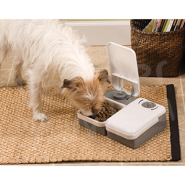 น้ำพุแมว-สุนัขเพื่อสุขภาพ,เครื่องให้อาหารแมว-สุนัข  อัตโนมัติ รูปที่ 1