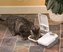 รูปย่อ น้ำพุแมว-สุนัขเพื่อสุขภาพ,เครื่องให้อาหารแมว-สุนัข  อัตโนมัติ รูปที่3