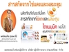 รูปย่อ Dynamic-Plus ไดแนมมิค พลัส อาหารเสริมบำรุงสมอง ช่วยป้องกันโรคอัลไซเมอร์ เพิ่มประสิทธิภาพของระบบประสาท รูปที่2