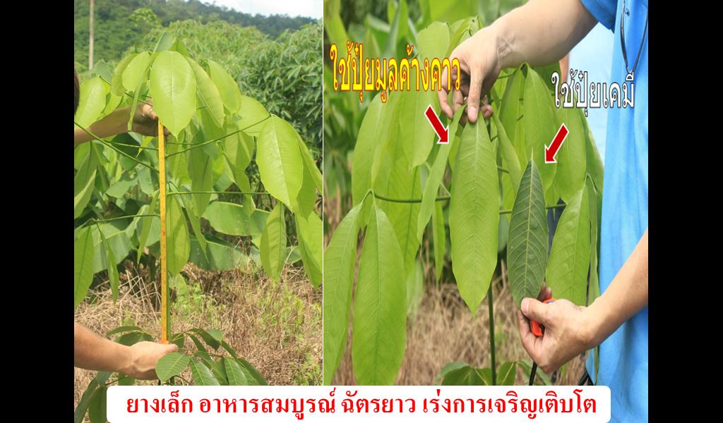 ไฮไลฟ์โกร เอส 500 มล. รูปที่ 2