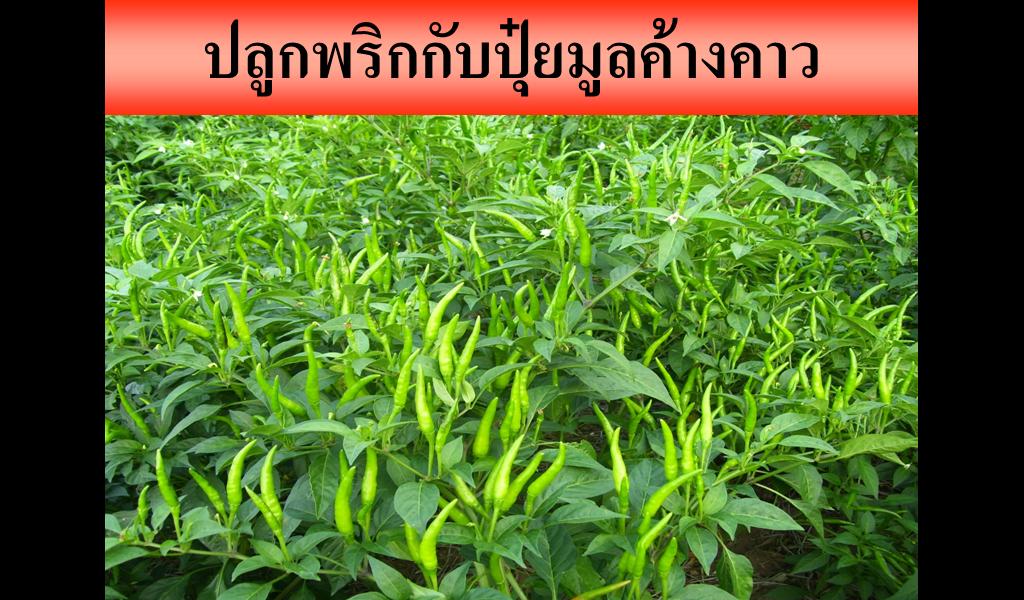 ไฮไลฟ์โกร แอล 500มล. รูปที่ 2