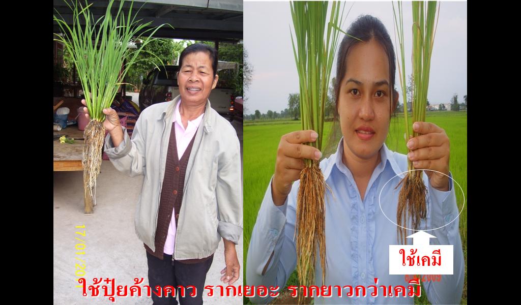 ไฮไลฟ์โกร เอส 1000 มล. รูปที่ 6