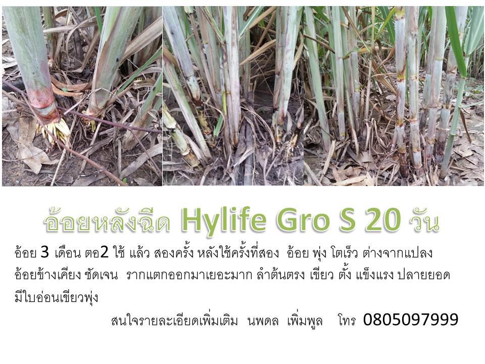 ไฮไลฟ์โกร เอส 1000 มล. รูปที่ 3