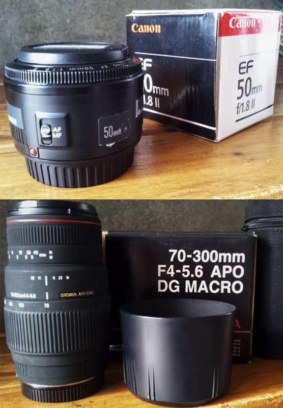 ขายเลนส์ Sigma 70-300 Apo DG Macro for Canon ราคา 4,000 บาท Canon EF 50mm F1.8 II ขาย 2,100- ทั้งสองตัว สภาพดี ไม่ค่อยได้ใช้ ประกันร้านหมดแล้ว รูปที่ 1