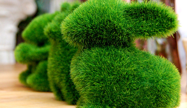 ตุ๊กตาหญ้ารูปสัตว์ สุดน่ารัก  รูปที่ 4