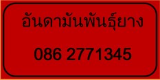 อันดามันพันธุ์ยาง รูปที่ 7