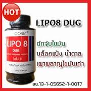 Lipo8ช่วยดักจับไขมัน ด้วยสารสกัดเข้มข้น พร้อมช่วยเผาผลาญ และลดความอยากอาหารลง เพื่อให้คุณมีหุ่นที่กระชับ รูปที่ 1