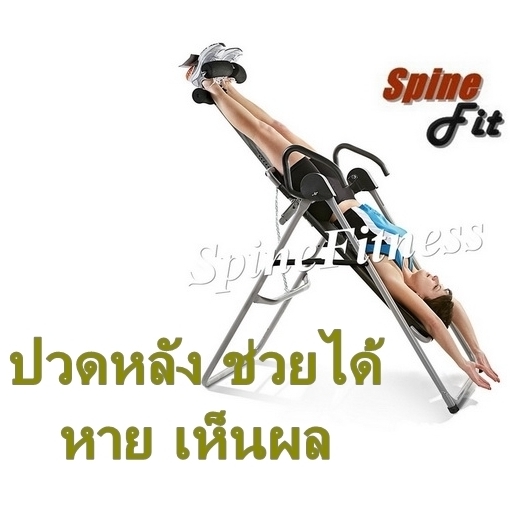 Spine fitness รักษาอาการปวดหลัง หมอนรองกระดูกทับเส้นประสาทt กระดูกสันหลังคด รูปที่ 1