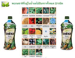 Intra อินทรา รูปที่ 3