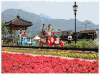 รูปย่อ ทัวร์เกาหลี ชมใบไม้เปลี่ยนสี เกาะนามิ กับ เอ็กซ์เซลเลนท์ เวิลด์ ทัวร์ รูปที่1