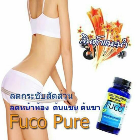 FUCOPURE บอกลาปัญหากวนใจ เซลลูไลท์ แขนใหญ่ ขาใหญ่ ผิวหย่อนคล้อย รูปที่ 1