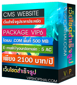 เว็บสำเร็จรูป vipshopthai.com รูปที่ 7