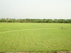 รูปย่อ ไร่หญ้าปวีณา ขายหญ้าจัดสวนหญ้าปูสนามราคาถูก เจ้าของปลูกเอง ขายเอง โทรสอบถามข้อมูลเพิ่มเติมได้ที่ 087-3263098,085-0838158 รูปที่1