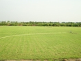 ไร่หญ้าปวีณา ขายหญ้าจัดสวนหญ้าปูสนามราคาถูก เจ้าของปลูกเอง ขายเอง โทรสอบถามข้อมูลเพิ่มเติมได้ที่ 087-3263098,085-0838158