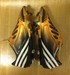 รูปย่อ ขายรองเท้าสตั๊ด มือสอง Adidas Predator lz ตัวท๊อป รูปที่2