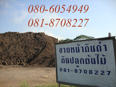 หน้าดิน,หน้าดินปลูกต้นไม้,ดินจัดสวน,หน้าดินดำ,ดินปลูกต้นไม้ รูปที่ 2