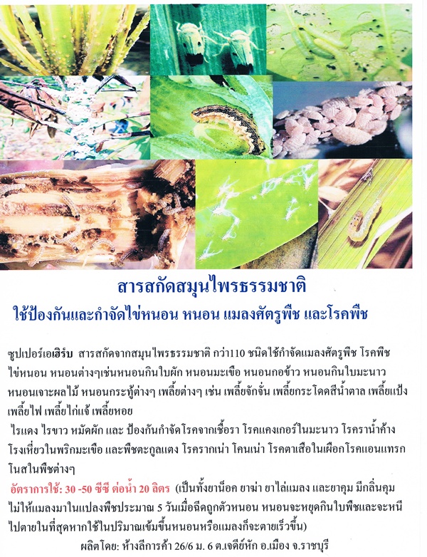 สารสกัดสมุนไพรธรรมชาติ รูปที่ 1