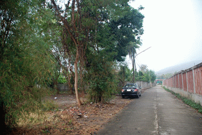 Land for sale @ Chiang Mai, very close to Doi Suthep รูปที่ 7
