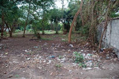 Land for sale @ Chiang Mai, very close to Doi Suthep รูปที่ 5