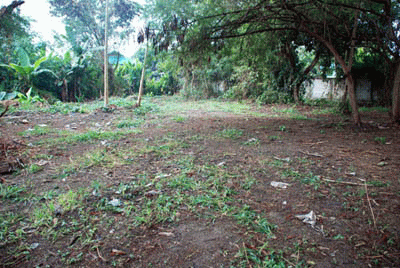 Land for sale @ Chiang Mai, very close to Doi Suthep รูปที่ 2