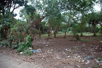 Land for sale @ Chiang Mai, very close to Doi Suthep รูปที่ 6