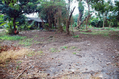 Land for sale @ Chiang Mai, very close to Doi Suthep รูปที่ 4