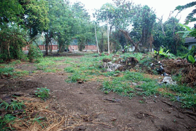 Land for sale @ Chiang Mai, very close to Doi Suthep รูปที่ 3