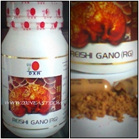 Gano..Ganoderma lucildum,Reishi gano,ganocelium,DXN ganocelium รูปที่ 2
