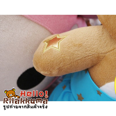 ตุ๊กตาหมีประจำราศีภุมภ์ สะสมได้แล้ววันนี้ ขายในราคาถูกสุดๆ รูปที่ 4